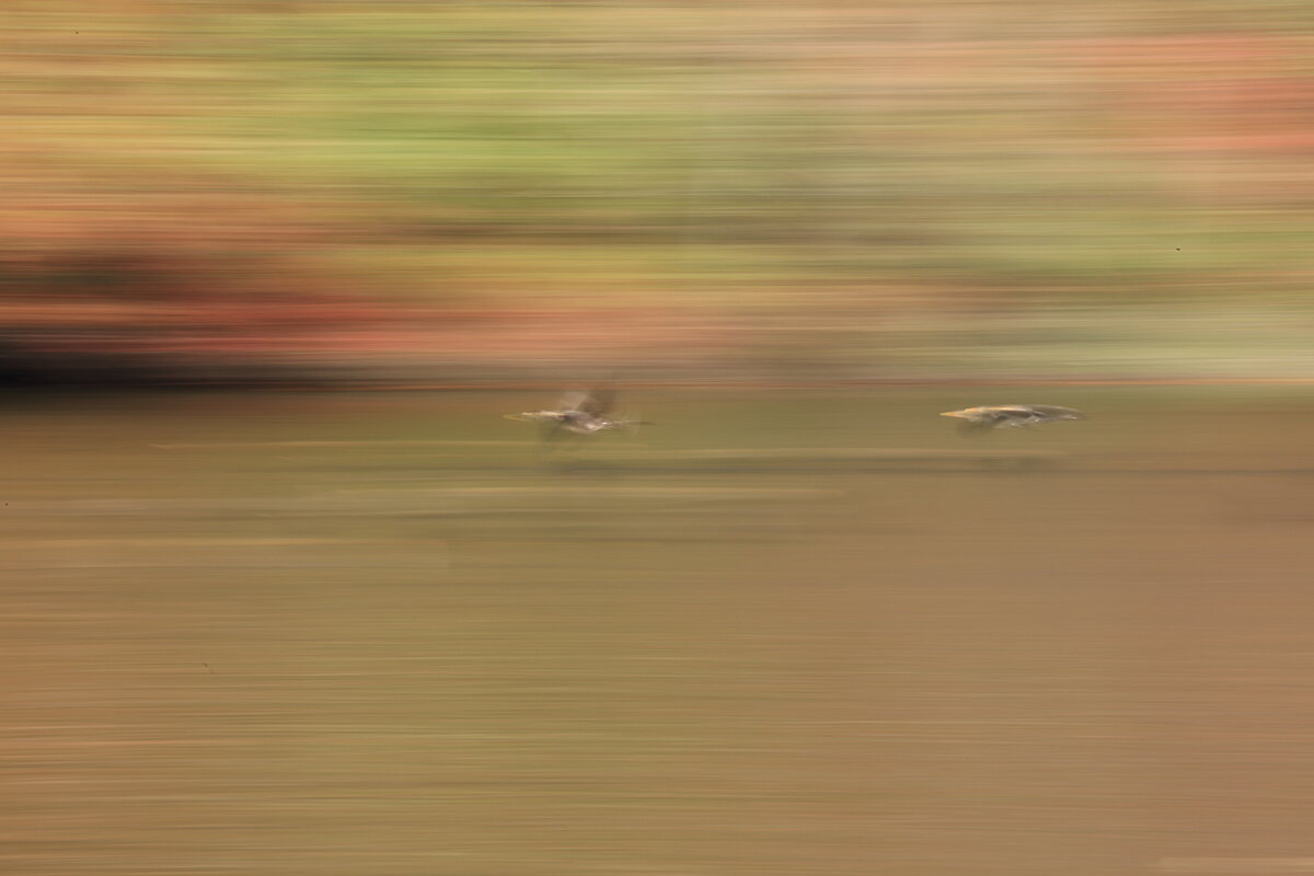 Photography by Michael Perry