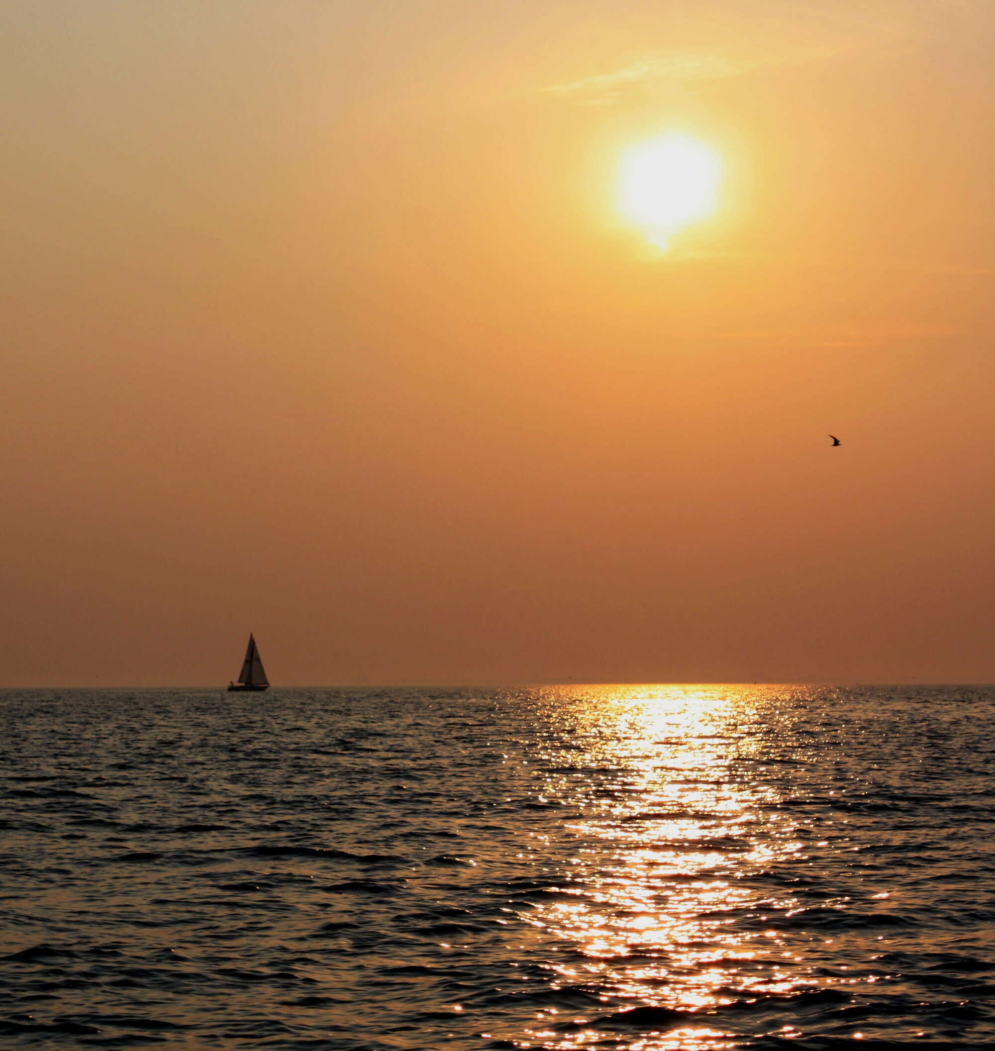 Ocean horizon at Lower Chesapeake Bay